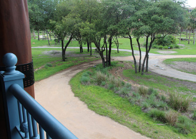 AKL savannah room view 1