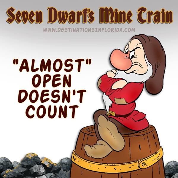 Seven Dwarfs Mine Train ©Destinations in Florida