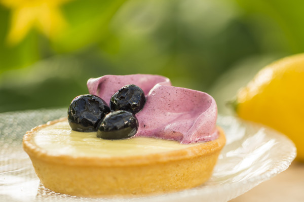 Outdoor Kitchen Offerings at Epcot International Flower & Garden Festival: Florida Blueberry and Lemon Curd Tart